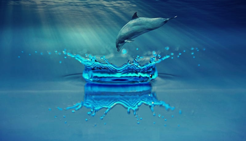 Underwater Wonderland